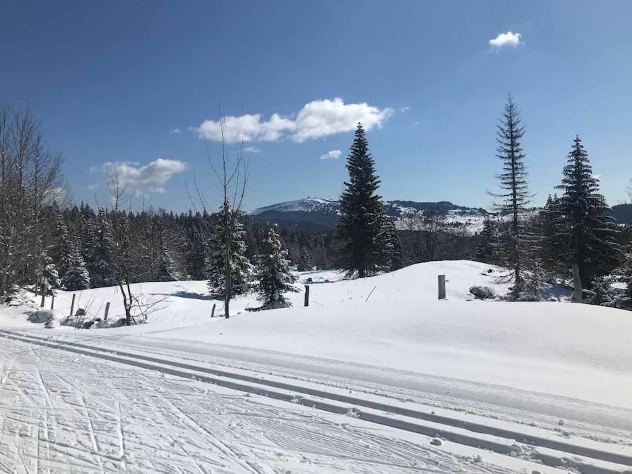 Studio Chaleureux Au Depart Des Sentiers Et Pistes De Ski Lajoux Exterior foto