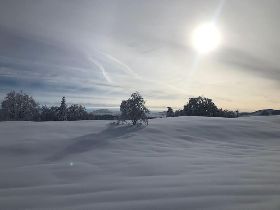 Studio Chaleureux Au Depart Des Sentiers Et Pistes De Ski Lajoux Exterior foto
