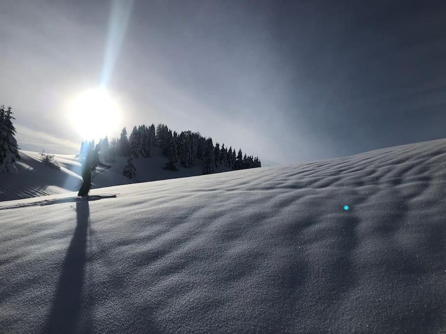 Studio Chaleureux Au Depart Des Sentiers Et Pistes De Ski Lajoux Exterior foto