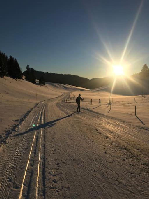 Studio Chaleureux Au Depart Des Sentiers Et Pistes De Ski Lajoux Exterior foto