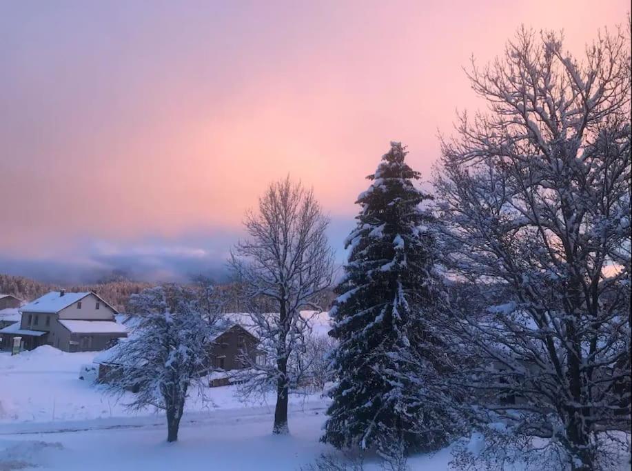 Studio Chaleureux Au Depart Des Sentiers Et Pistes De Ski Lajoux Exterior foto