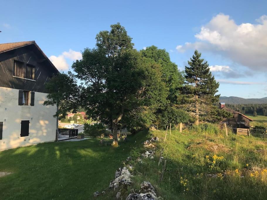Studio Chaleureux Au Depart Des Sentiers Et Pistes De Ski Lajoux Exterior foto